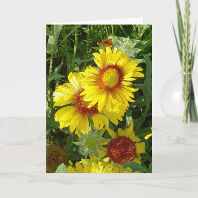 F6 Yellow Wildflowers Gaillardia Card (Front)