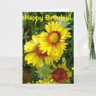 F6 Yellow Wildflowers Gaillardia Card