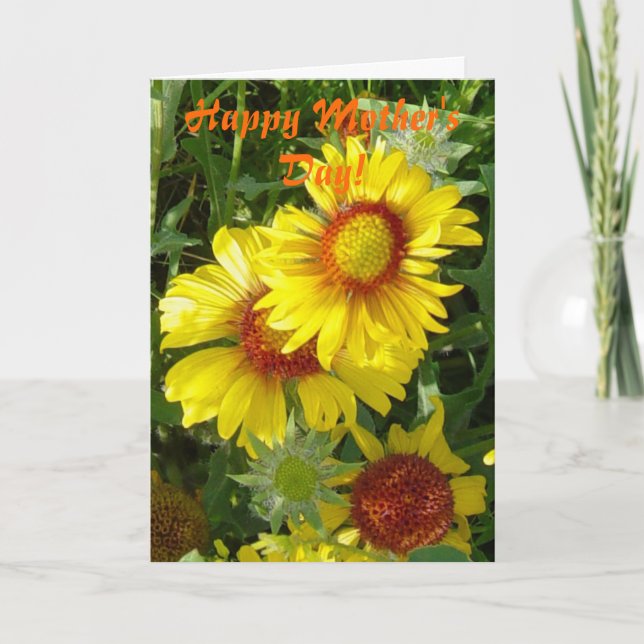 F6 Yellow Wildflowers Gaillardia Card (Front)