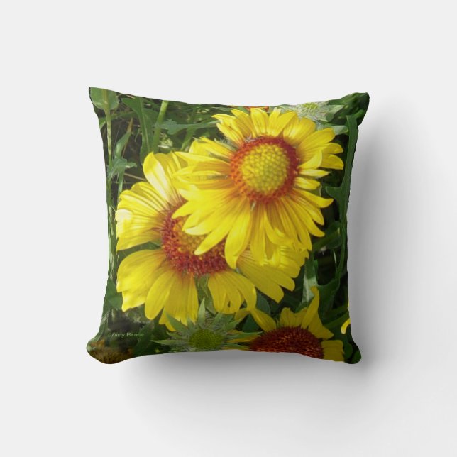 F6 Yellow Wildflowers Gaillardia Cushion (Front)