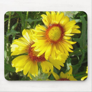 F6 Yellow Wildflowers Gaillardia Mouse Pad