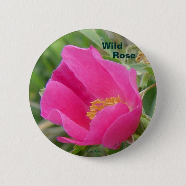 F7 Alberta Wild Rose 6 Cm Round Badge (Front)