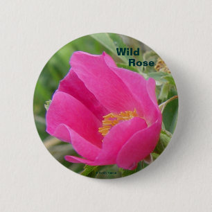 F7 Alberta Wild Rose 6 Cm Round Badge