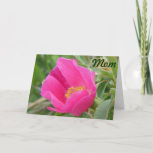 F7 Wild Rose Card