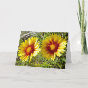 F8 Yellow Wildflowers Gaillardia Card
