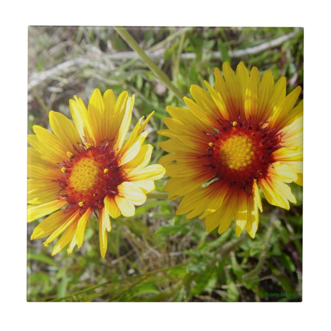 F8 Yellow Wildflowers Gaillardia Tile (Front)