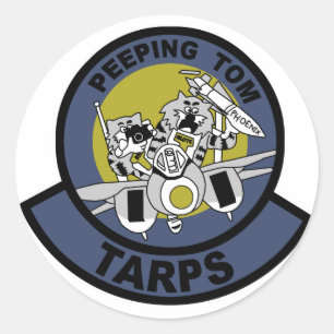 F-14 Tomcat Classic Round Sticker