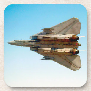 F-14 TOMCAT COASTER