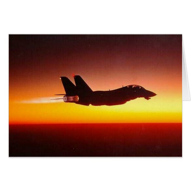 F-14 TOMCAT IN AFTERBURNER (Front Horizontal)