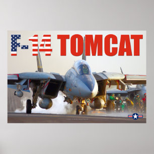 F-14 TOMCAT "LAUNCH" POSTER