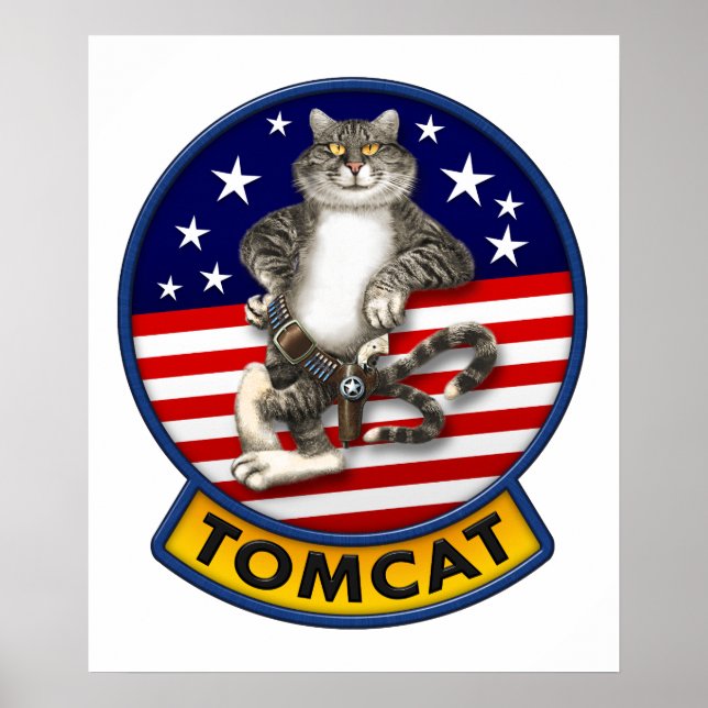F-14 Tomcat Mascot Poster (Front)