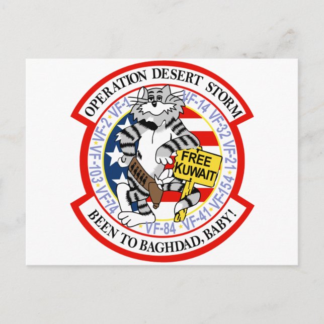 F-14 Tomcat Operation Desert Storm Postcard (Front)