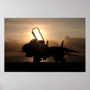 F-14 Tomcat Poster