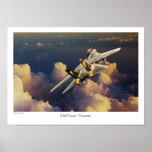 F-14 Tomcat Poster