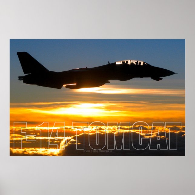 F-14 TOMCAT POSTER (Front)