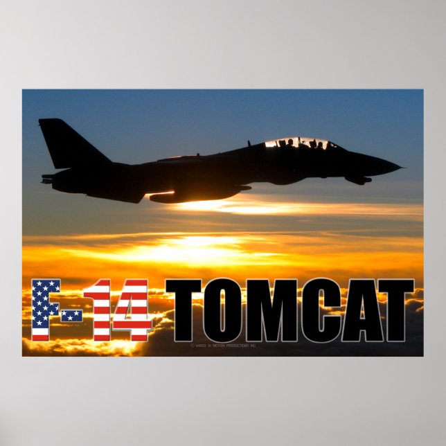 F-14 TOMCAT POSTER (Front)