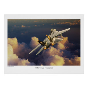 F-14 Tomcat Poster