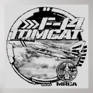 F-14 Tomcat Poster