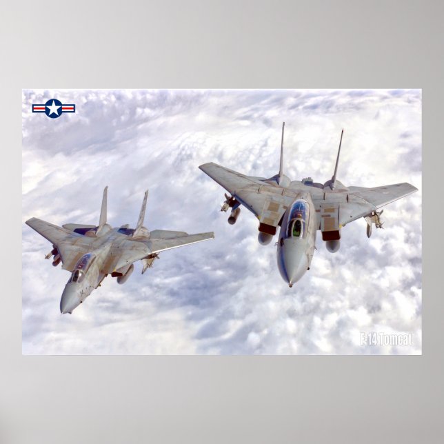 F-14 TOMCAT POSTER (Front)
