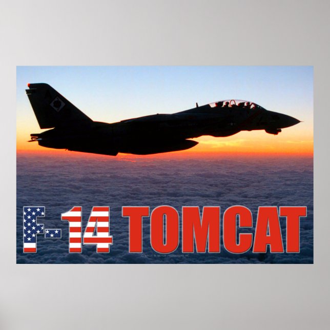 F-14 TOMCAT "SUNSET PATROL" POSTER (Front)