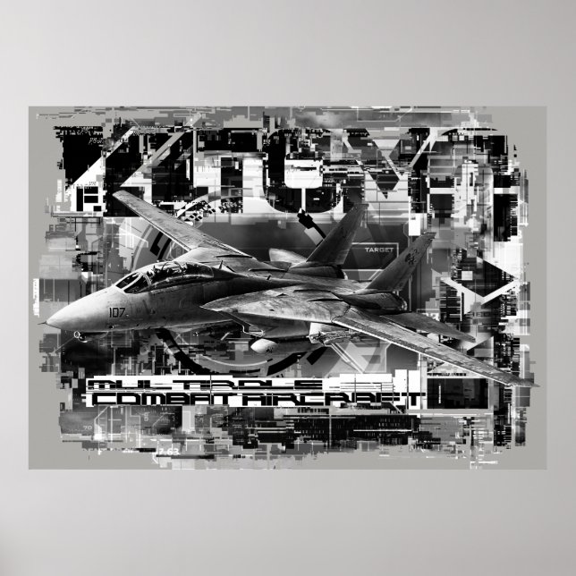 F-14 Tomcat Value Poster Paper (Matte) Poster (Front)