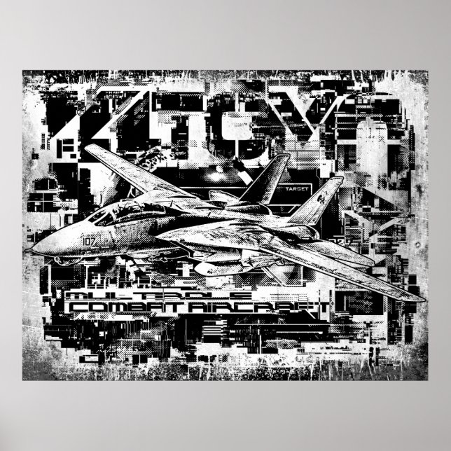 F-14 Tomcat Value Poster Paper (Matte) Poster (Front)
