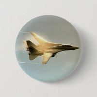 F-14 TOMCAT WITH VAPOR