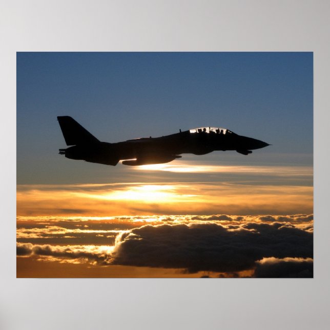 F-14D Tomcat Poster (Front)