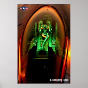 F-16C FIGHTING FALCON PILOT POSTER