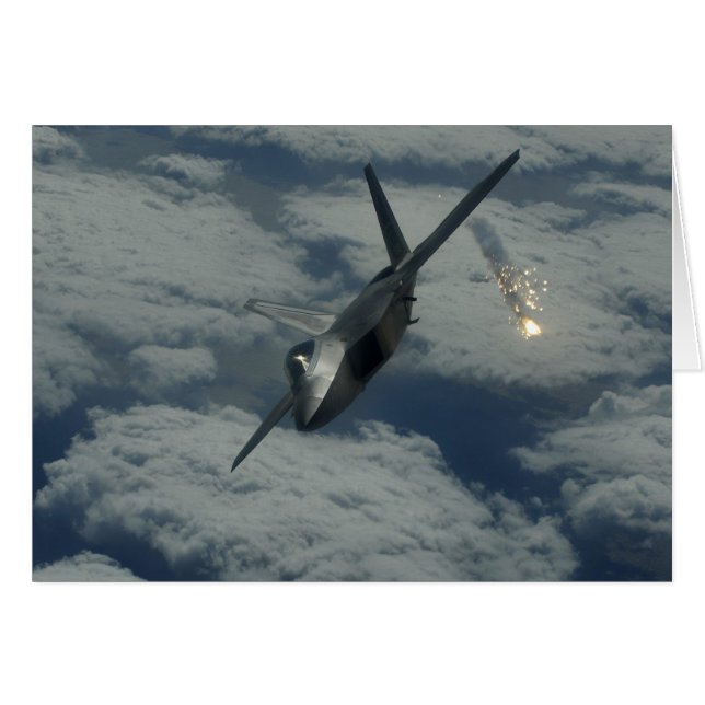 F-22 (Front Horizontal)