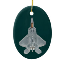 F-22 Raptor Fighter Jet