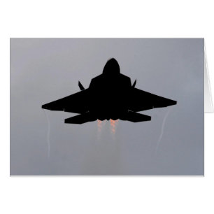 F-22 STEALTH FIGHTER