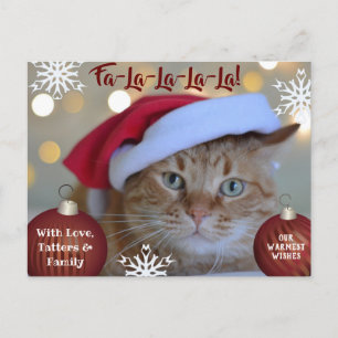 Fa-La-La-La-La Pets Holiday Photo Postcard