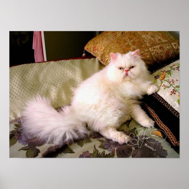 faaaabuuuuloussss!!!! poster (Front)