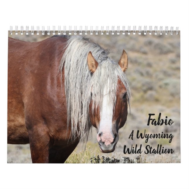 Fabio A Wild Wyoming Stallion Calendar (Cover)