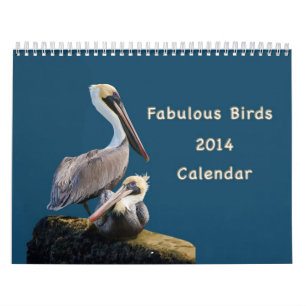 Fabulous Birds 12 Month Calendar