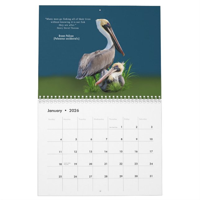 Fabulous Birds 12 Month Calendar (Jan 2026)