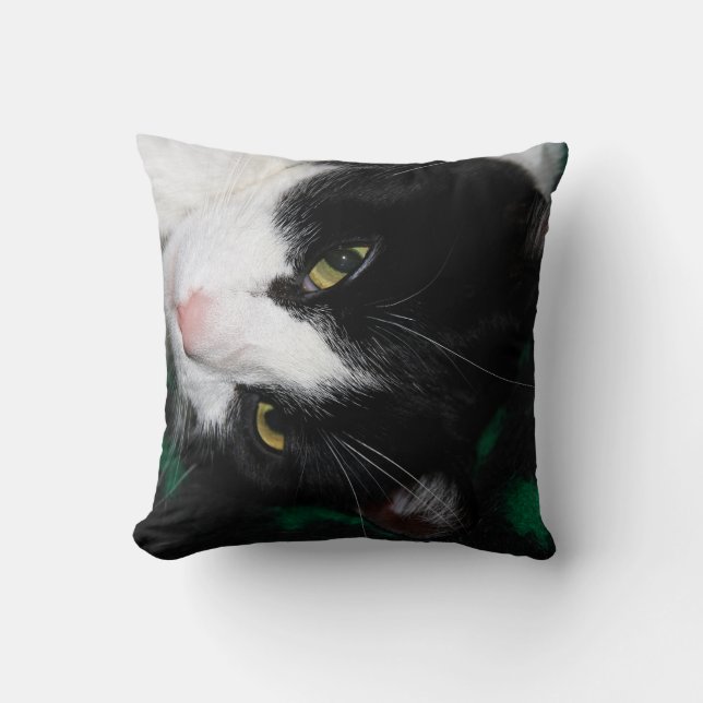 Fabulous Cats! Cushion (Front)