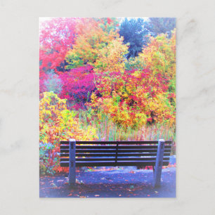 Fabulous Fall Colours Bench Autumn Leaves Scenic Postcard