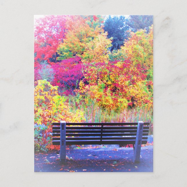 Fabulous Fall Colours Bench Autumn Leaves Scenic Postcard (Front)