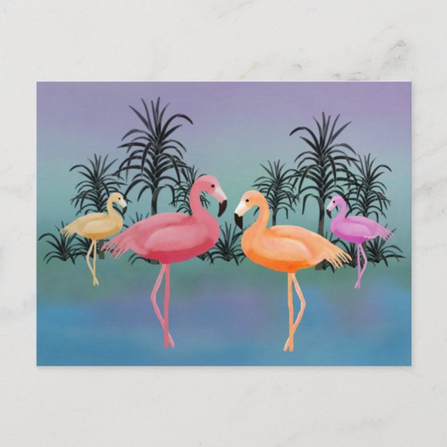 Fabulous Flamingos Postcard (Front)