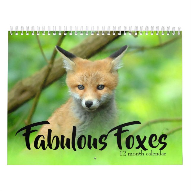 Fabulous Foxes 2026 Calendar (Cover)