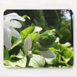 Fabulous Hosta Mouse Pad