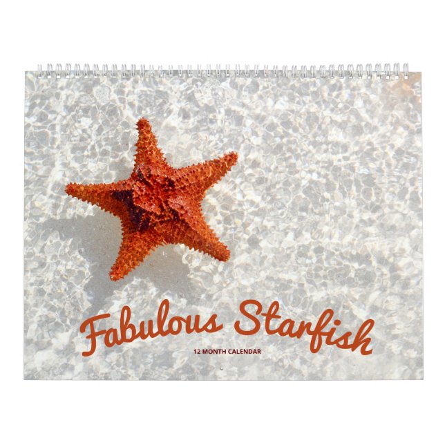 Fabulous Starfish Calendar (Cover)