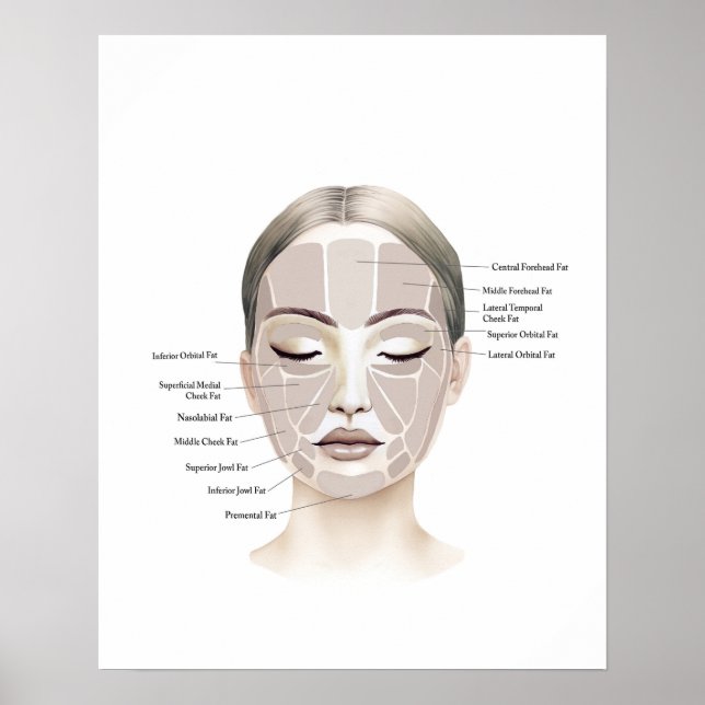 Face Anatomy Beauty Art Poster (Front)