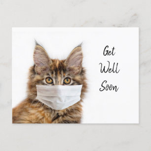 Face mask on Maine Coon cat get well Postcard