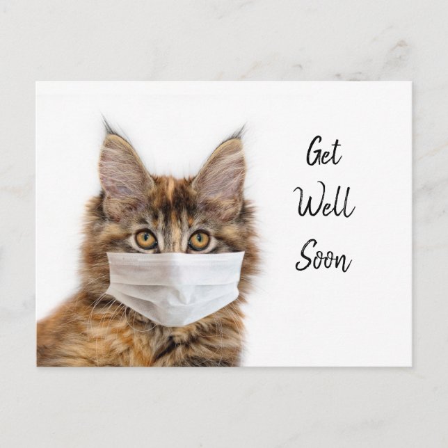 Face mask on Maine Coon cat get well Postcard (Front)