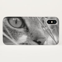 Face of a Cat