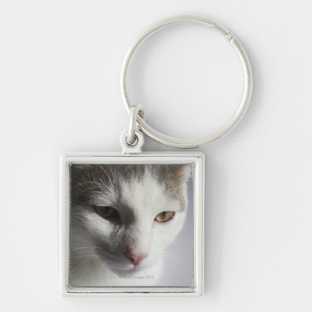 Face of a cat key ring (Front)
