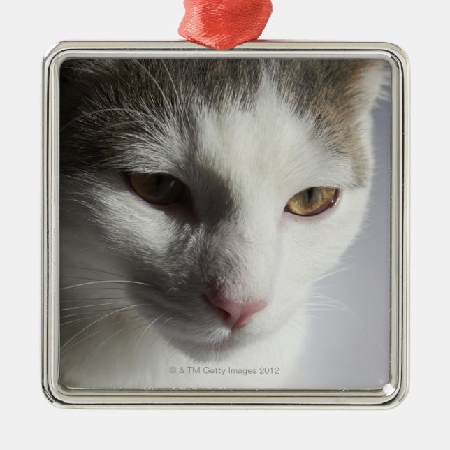 Face of a cat metal ornament (Front)